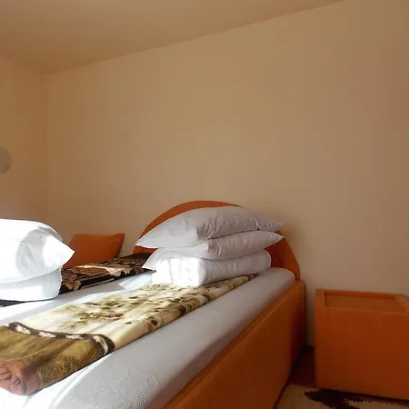 Guest house Pensiunea Marin Rona de Jos
