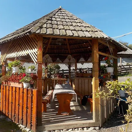 Pensiunea Marin Guest house Rona de Jos