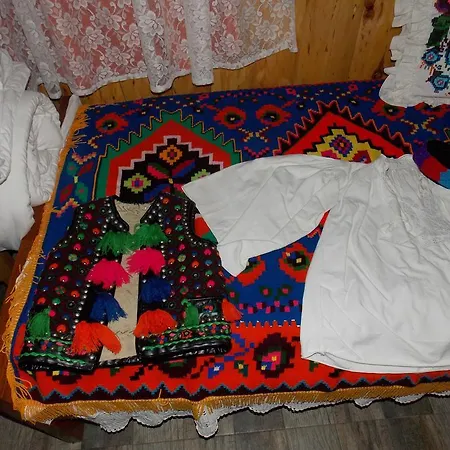 Guest house Pensiunea Marin *