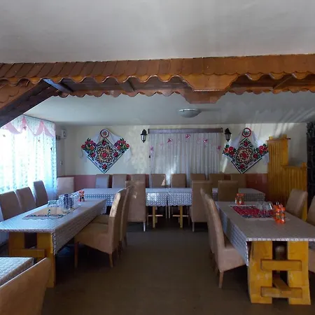 Pensiunea Marin Guest house Rona de Jos