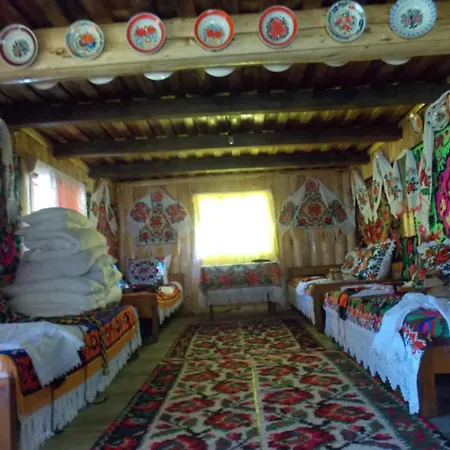 Pensiunea Marin Guest house