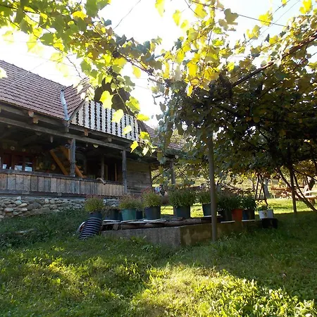Guest house Pensiunea Marin *